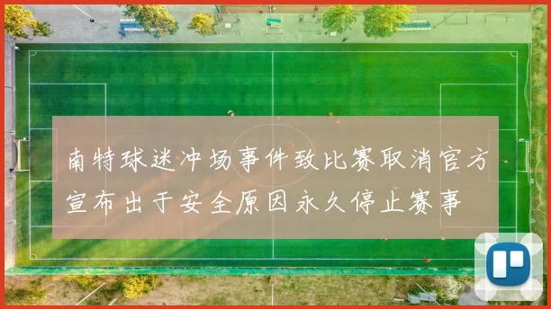 南特球迷冲场事件致比赛取消官方宣布出于安全原因永久停止赛事